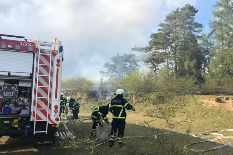 Die Feuerwehr war zwölf Stunden lang im Einsatz beim Vegetationsbrand bei Landau. 