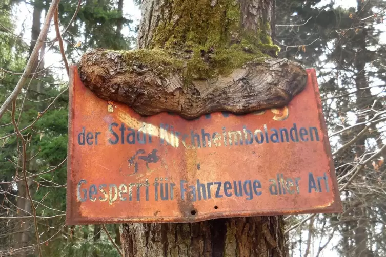 Schild im Kirchheimbolander Wald.