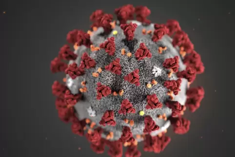 Das Virus im Modell.