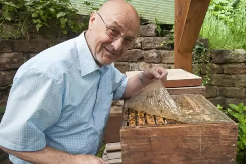 Menschen können Bienen auf mehreren Wegen unterstützen, erklärt Hobby-Imker Walfried Weber.