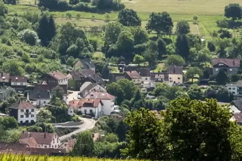 Die Ortsgemeinde Nanzdietschweiler verfügt über 150 Hektar Wald.