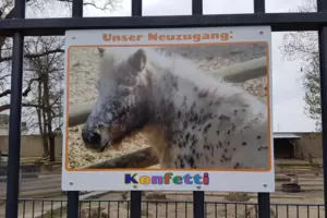 Dieses Schild im Ebertpark zeigt den Neuzugang. Dieses Schild im Ebertpark zeigt den Neuzugang.