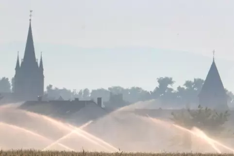 Blick aus Speyer über die beregneten Felder in Richtung Otterstadt mit Kirche und Remigiushaus: Landwirte bangen um „ihre“ Fläch