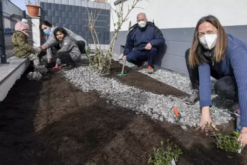 Dieser Vorgarten soll aufblühen. dafür haben im März Adele, Noemi und Tanya Bianchino sowie Manfred Schärf und die Umweltbeauftr