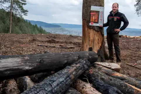 Forstrevierleiter Julian Thiebes hält an einem Aussichtspunkt in einem Wald bei Schweich eine Infotafel, die er dort an einem Ba