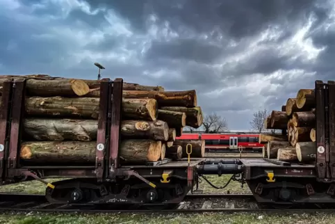 Im Gewerbegebiet Im Justus gibt es ein Holzverladegleis. 