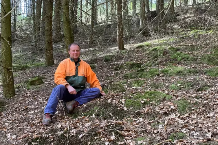 Terrassenartig in den Hang getrieben: Gemeinsam haben die Menschen im Leiningerland ihren Wald nach dem Zweiten Weltkrieg wieder
