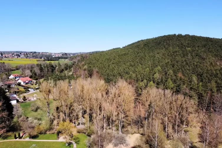 Die Gemeinde Neuleiningen will zwei Waldst&uuml;cke bei Hertlingshausen verkaufen &ndash; eines davon befindet sich nahe des Unterselighofs