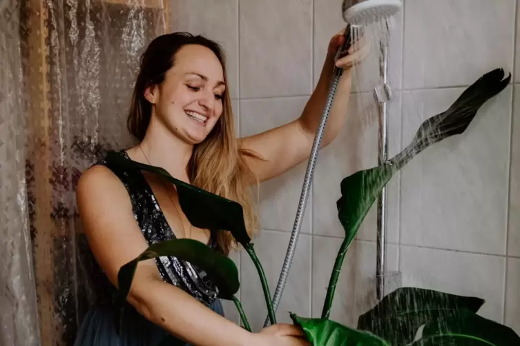 Mit der Zimmerpflanze unter der Dusche.