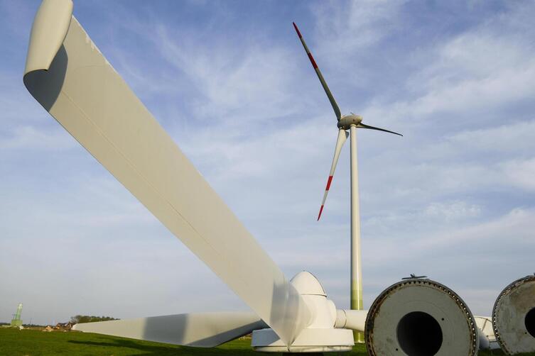 Unter strengen Auflagen sollen Windkraftanlagen auch im Pfälzerwald errichtet werden. 