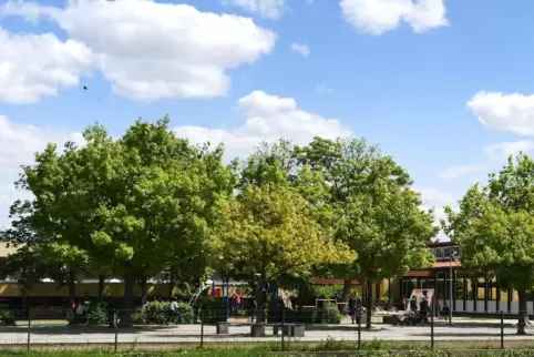 Der Schulhof der Grundschule Ellerstadt soll saniert und attraktiver gestaltet werden. 