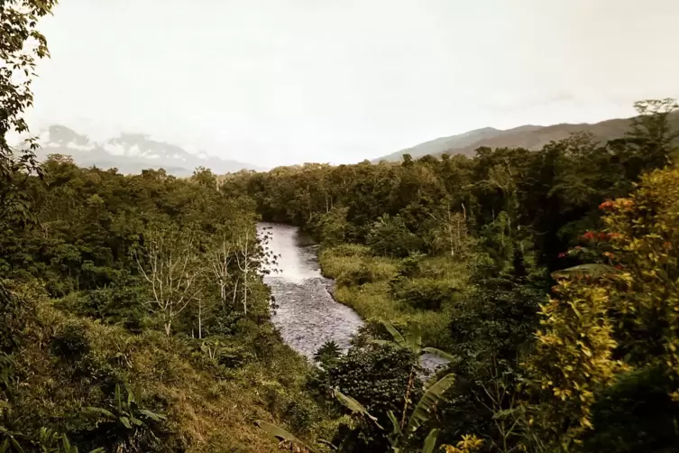 Katharina Döbler erzählt in „Dein ist das Reich“ von ihren Großeltern, die als Missionare in Neuguinea – hier ein Urwaldstrom, d