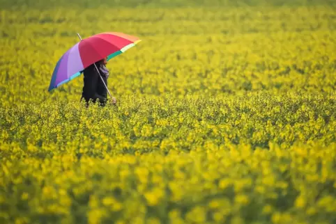 In der Nacht zu Dienstag zieht Regen auf. 