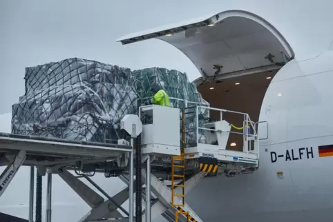 Sollen ab dem kommenden Jahr mit der neuen Folie beklebt werden: die Boeing 777 der Lufthansa.