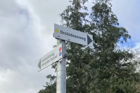 Drei reizvolle Rundwanderwege hat die Gemeinde Kirrweiler zu bieten. 