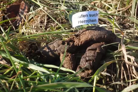 Zoff um Hundekot ist nichts Neues, kommt immer wieder auf. 