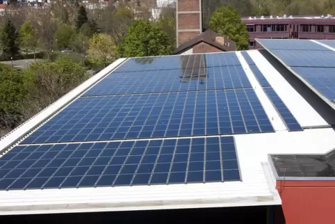 Die Verbandsgemeinde hat eine Energiegesellschaft gegründet, die Solarstrom erzeugen will. Das Foto zeigt das Zweibrücker Parkha