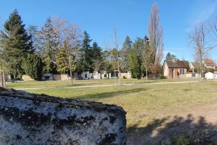 In Maxdorf haben sie schon eine ganze Weile überlegt, wie man die Brachfläche auf dem Friedhof gestalten könnte. Nun soll ein Me