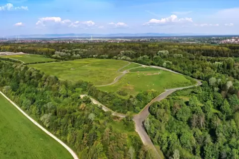 Giftiges Erbe unter der Idylle: die älteren Deponie-Abschnitte. Im Hintergrund ist rechts das nahe Speyer zu sehen.