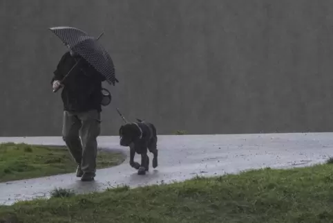 Vor allem am Donnerstag ist mit teils kräftigem Regen zu rechnen.