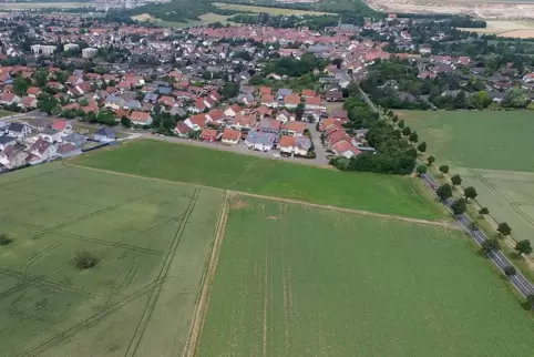 Das noch nicht erschlossene künftige Neubaugebiet Süd X am Ortsrand von Göllheim.