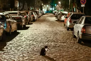 Keine Zweibeiner mehr nachts auf den Straßen. Der Ärger über die Ausgangssperren landete vor dem Bundesverfassungsgericht. 