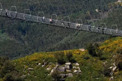 516 Meter lang ist die Brücke – und angeblich die längste Fußgänger-Hängebrücke der Welt. 