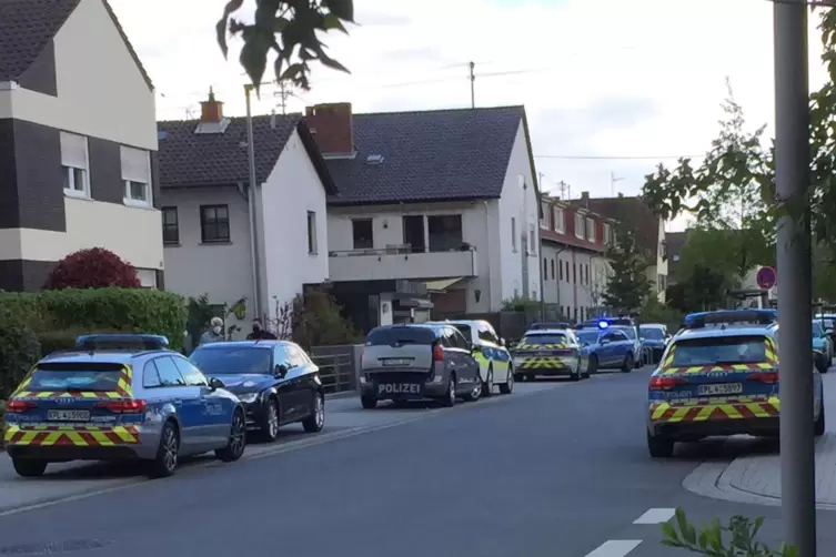 Ein Großaufgebot war vor Ort in Oppau im Einsatz.