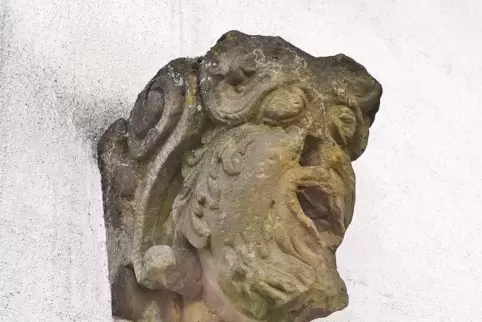 Schiefmäulig im wahrsten Sinn des Wortes ist dieses Gesicht.