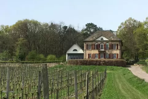 Schmuckes Gutshaus: das Weingut Odinstal.