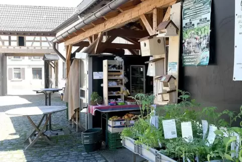 Hofläden wie hier Kaegy auf dem Bolanderhof sind mit ihren regionalen Produkten im Moment sehr gefragt. 