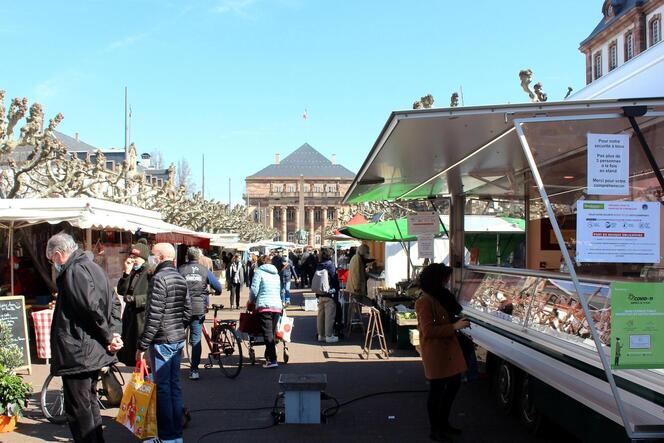 Markttreiben auf dem Broglie-Platz, immer mittwochs und freitags mit der Rheinoper im Hintergrund