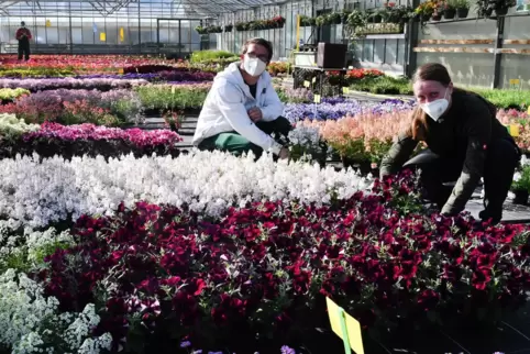  Blumenmeer: Marvin Braun und Stefanie Kuß kümmern sich bei der Lebenshilfe um die verschiedenen Pflanzen, die man sich beim Blu