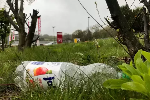 Nicht „ja“, sondern nein sagt Thorsten Trost zum Erscheinungsbild der Rockenhausener Alsenzauen. Auf der Wiese gegenüber des Rew Nicht „ja“, sondern nein sagt Thorsten Trost zum Erscheinungsbild der Rockenhausener Alsenzauen. Auf der Wiese gegenüber des Rew