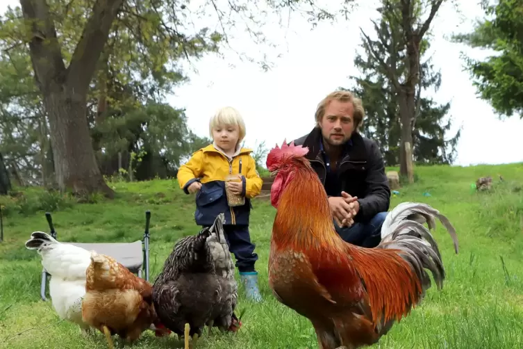 Der dreijährige Mattheo ist von den Hühnern genauso begeistert wie sein Papa Christoph Wopalka.