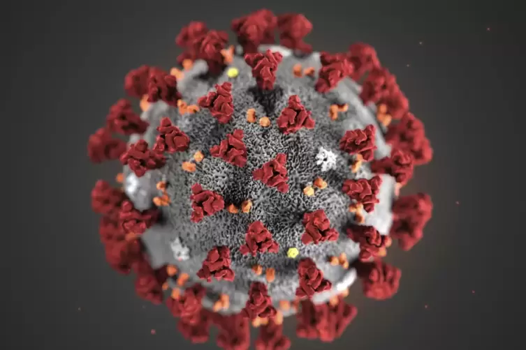 Eine grafische Darstellung des Coronavirus’.