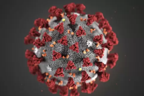 Eine grafische Darstellung des Coronavirus’.