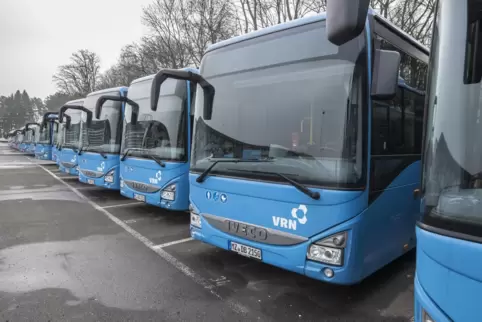 Die DB Regio Mitte – hier Busse, die im Betriebshof an der Stiftswaldstraße parken – hat mehrere Subunternehmen, die die Linien 