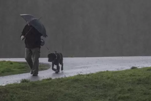 Der Spaziergang wird recht feucht für Herrchen und Hund. 