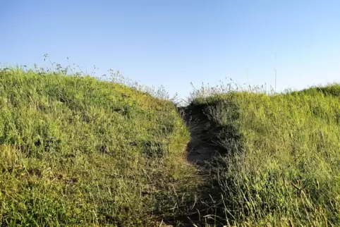 Ob an der Küste oder im Englischen Garten in München – Spaziergänger, Wanderer und Radfahrer suchen sich oft ihre eigenen Wege. 