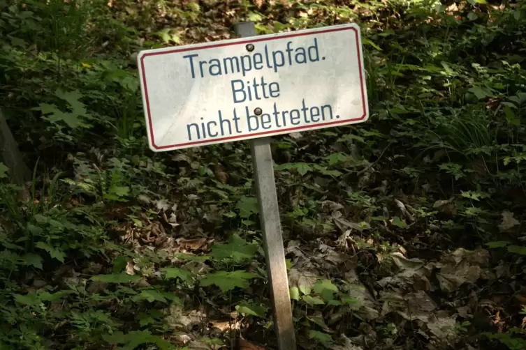 Im Englischen Garten in M&uuml;nchen. 