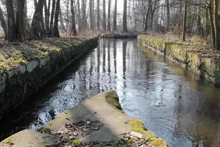 Markant: Wasserscheide von Speyerbach und Woogbach in Hanhofen. 