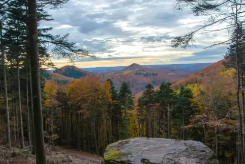 Diese Aussicht kann man bald von der neuen Aussichtsplattform am Hermersbergerhof genießen. Die Bauarbeiten für Steg und Plattfo