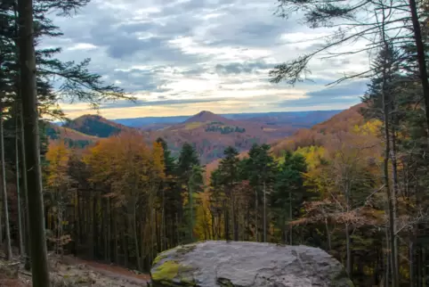 Diese Aussicht kann man bald von der neuen Aussichtsplattform am Hermersbergerhof genießen. Die Bauarbeiten für Steg und Plattfo