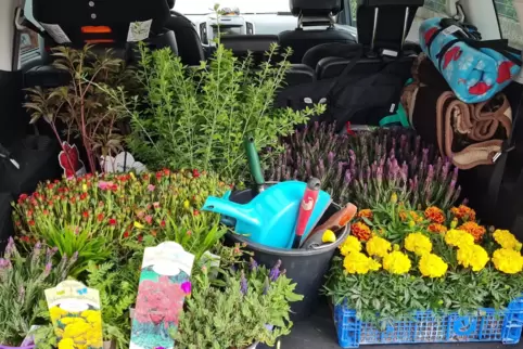 Die erste Ladung Blumen und Sträucher verpflanzte die Bürgerinitiative spontan nach einem Vorgespräch vor Ort. 