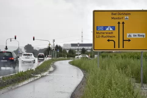 Auf der Fläche rechts des Radwegs kann sich der Verband Region Rhein-Neckar vorstellen, das Industriegebiet am Römig zu erweiter