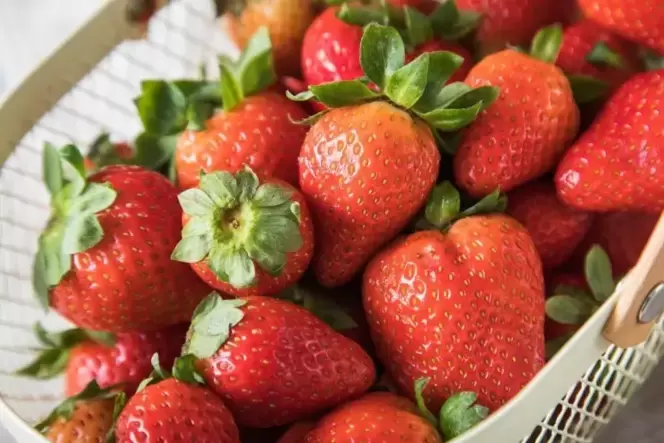 Erdbeeren verlieren schnell an Geschmack