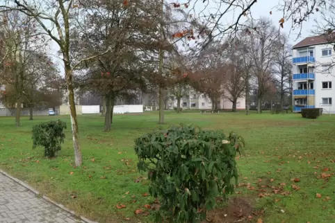 Soll aus Sicht einer Bürgerinitiative nicht versiegelt werden: Fläche im Kastanienweg.