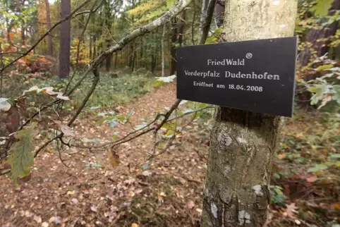 Der Friedwald in Dudenhofen: Zuletzt gab es hier mehr als 500 Beisetzungen im Jahr.