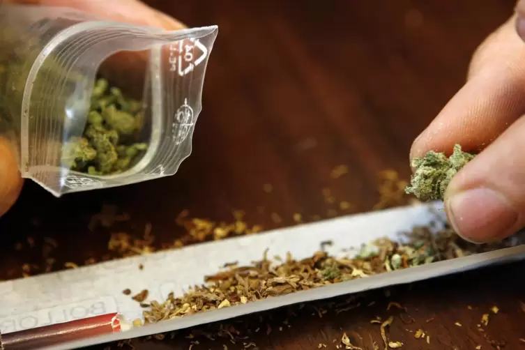 Die Polizei fand mehrere Hundert Gramm Cannabis.